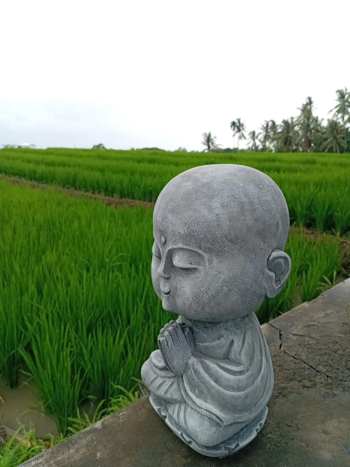  Product image 4 of the product “Ishaan - Sitting Monk Big Head, 29.5cm Height | cast stone ”